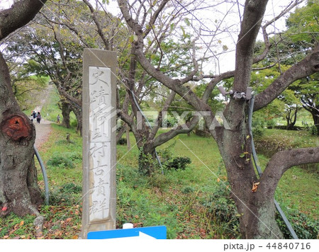 さきたま古墳公園 44840716