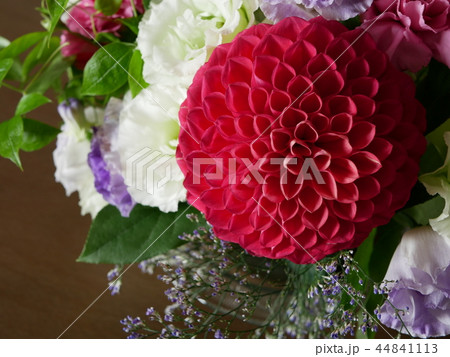 ダリア 花束 ダリア 花束 44841113