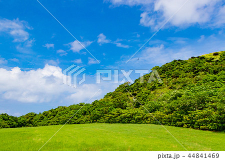 沖縄石垣島 青空と草原 背景素材の写真素材
