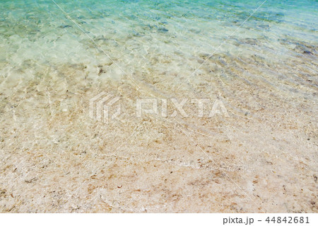 沖縄石垣島　川平タバガー 44842681
