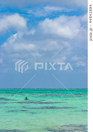 沖縄石垣島　川平タバガー 44843884