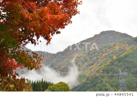 紅葉 紅葉 44845541