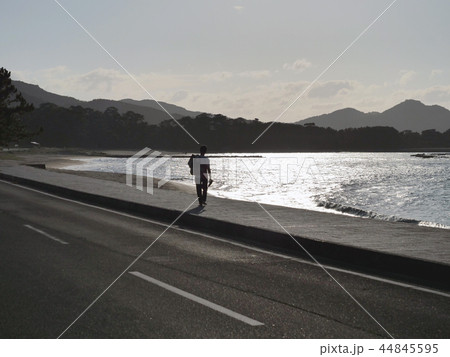 旅行者 海岸通り 旅行者 海岸通り 44845595