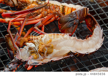 伊勢海老の炭火焼き 伊勢海老の炭火焼き 44845656