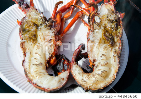 伊勢海老の炭火焼き 44845660