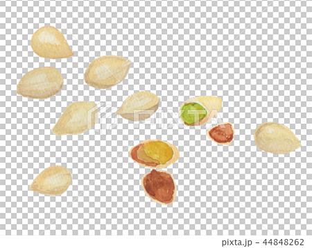 ぎんなん　Ginkgo 44848262