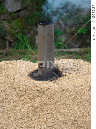 くんたん くんたん 44848286