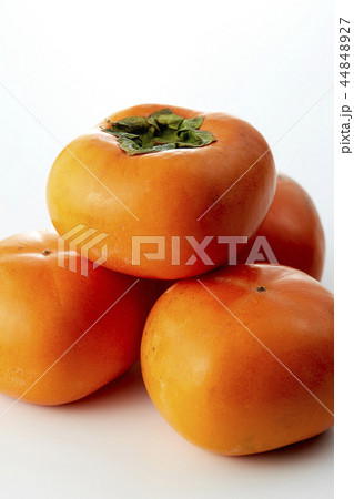 利根柿 (Japanese persimmon) 利根柿 (Japanese persimmon) 44848927