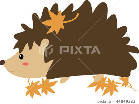 ハリネズミと紅葉 ハリネズミと紅葉 44849232