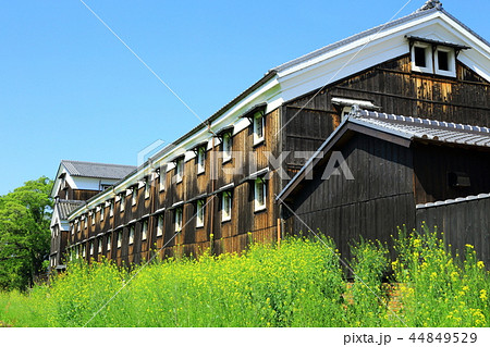伏見の酒蔵と菜の花 伏見の酒蔵と菜の花 44849529