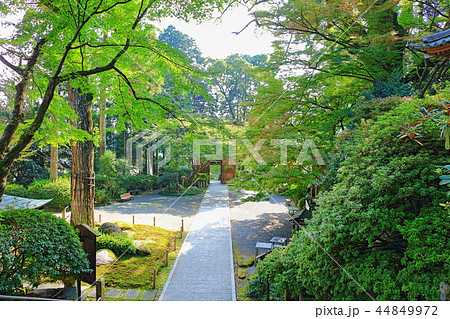 大興善寺(つつじ寺・もみじ寺)佐賀県三養基郡基山町 大興善寺(つつじ寺・もみじ寺)佐賀県三養基郡基山町 44849972
