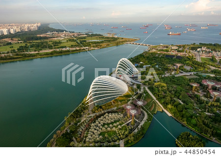 シンガポール 44850454