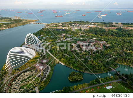 シンガポール 44850456