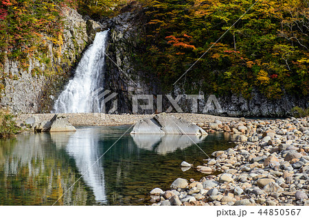 秋 法体の滝 秋田県 秋 法体の滝 秋田県 44850567