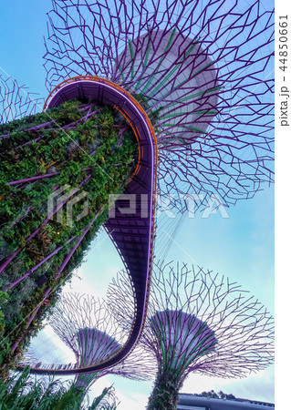 シンガポール 44850661