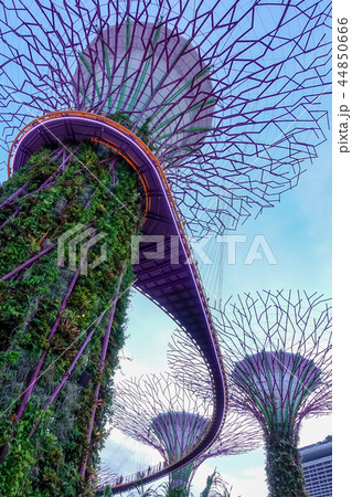 シンガポール 44850666