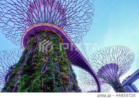 シンガポール 44850720