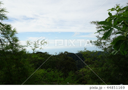 George Town - Penang (Malaysia) 44851169