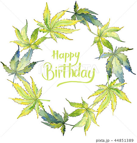 Green cannabis leaf. Leaf plant botanical garden floral foliage. Frame border ornament square. Green cannabis leaf. Leaf plant botanical garden floral foliage. Frame border ornament square. 44851389