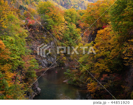 定山渓 紅葉 定山渓 紅葉 44851920