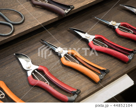 剪定ばさみ 44852104