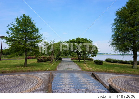 渡良瀬貯水池 ヨシ原 湿地帯 渡良瀬貯水池 ヨシ原 湿地帯 44852606