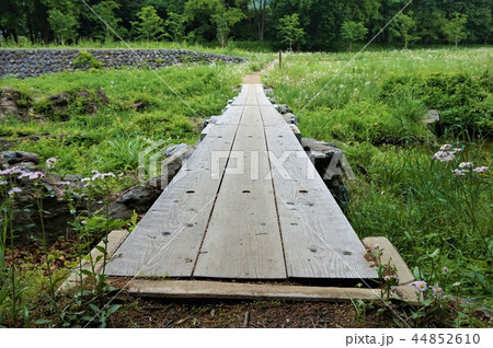 蓬莱島公園 長瀞町 蓬莱島 桟橋 蓬莱島公園 長瀞町 蓬莱島 桟橋 44852610