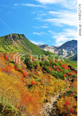 北海道　秋の十勝岳 44852774