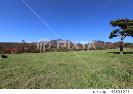 まきば公園 44853078