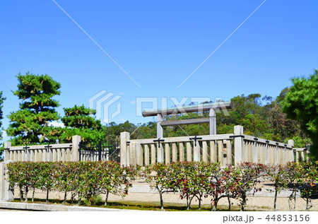 大阪　履中天皇陵古墳（世界文化遺産） 44853156