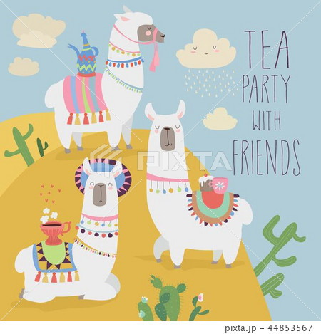 Cute friends mexican white alpaca llamas drinking tea Cute friends mexican white alpaca llamas drinking tea 44853567