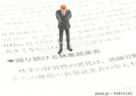 林業イメージ 44854191