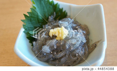 鎌倉 生しらす 鎌倉 生しらす 44854388