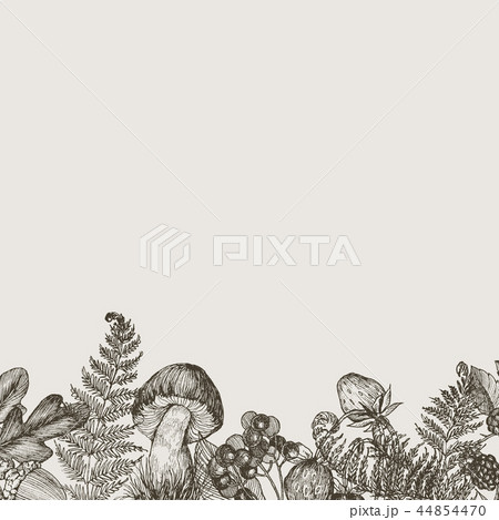 Forest plants border with mushrooms, fern, berries. High detailed hand drawn background. Vector 44854470