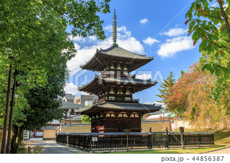 興福寺 44856387