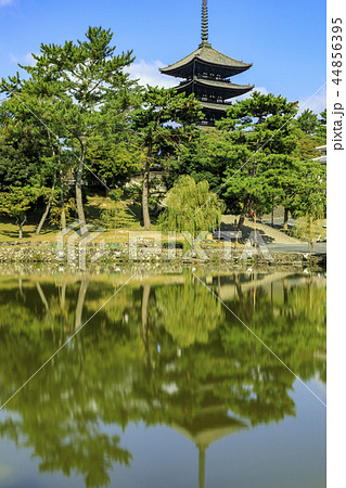 興福寺 興福寺 44856395