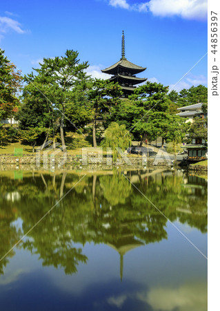興福寺 興福寺 44856397