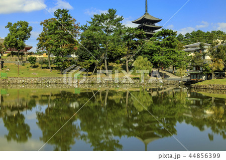 興福寺 44856399
