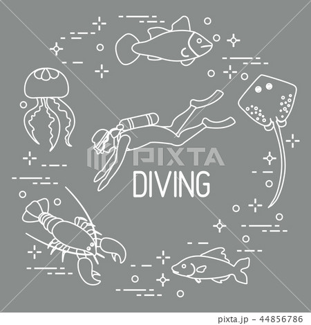 Diver, jellyfish, lobster, stingray, fish 44856786