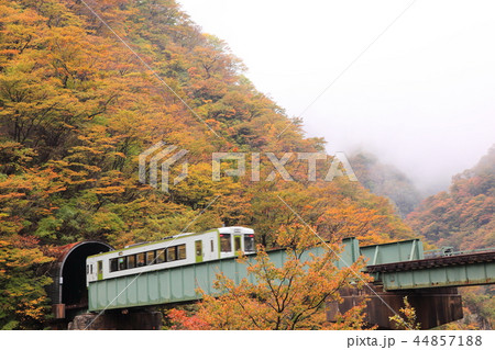 紅葉の山を走るJR米坂線 44857188
