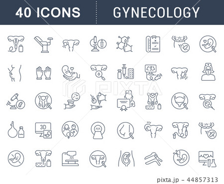 Set Vector Line Icons of Gynecology. 44857313