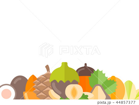 Vector Illustration of Nuts. 44857377