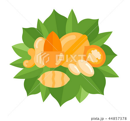 Vector Banner of Nuts. 44857378