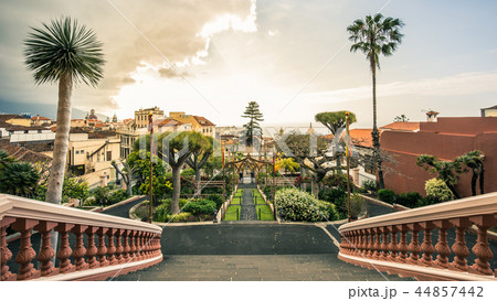 View on gardens in La Orotava in Tenerife, Spain. 44857442