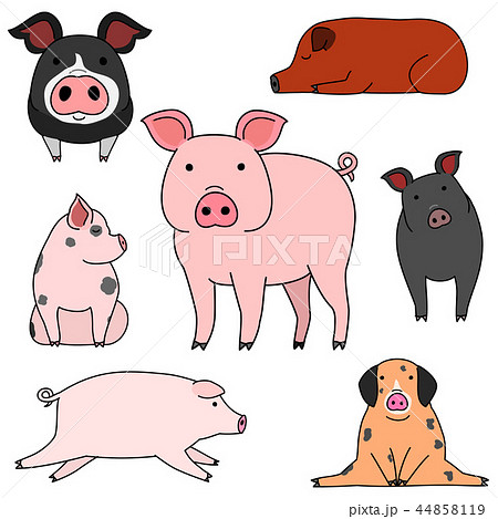 かわいい豚の手描きふうイラストセットのイラスト素材 44858119 Pixta