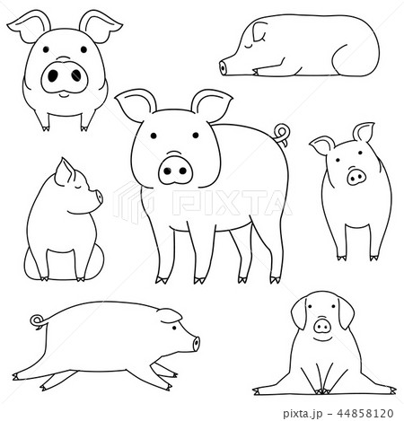 かわいい豚の手描きふうイラストセットのイラスト素材