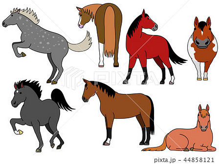 かわいい馬の手描きふうイラストセットのイラスト素材 44858121 Pixta