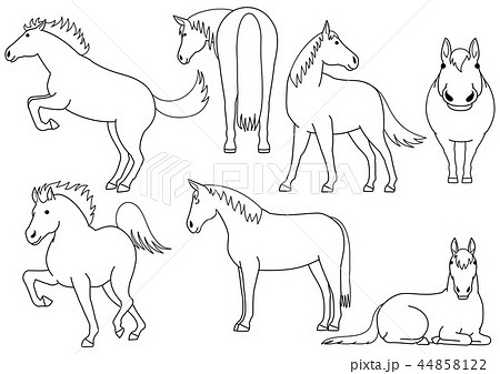 かわいい馬の手描きふうイラストセットのイラスト素材 44858122 Pixta