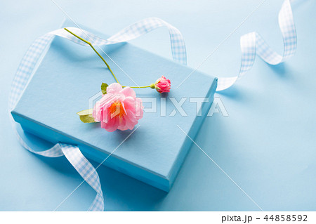 プレゼント プレゼント 44858592