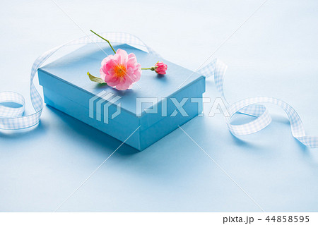 プレゼント プレゼント 44858595